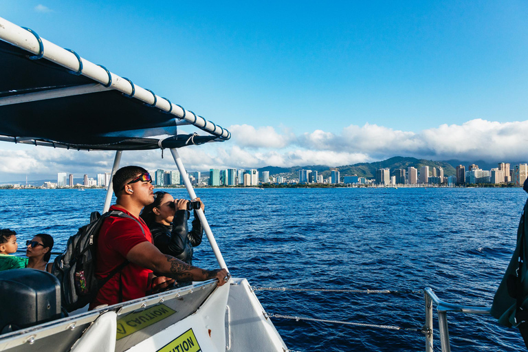 Honolulu, Oahu: Waikiki Whale Watching Cruise