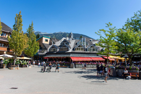 Vancouver: Whistler Private Tagestour