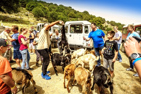 Crete: Land Rover Safari on Minoan Route Land Rover Safari with Pick-Up in Heraklion City