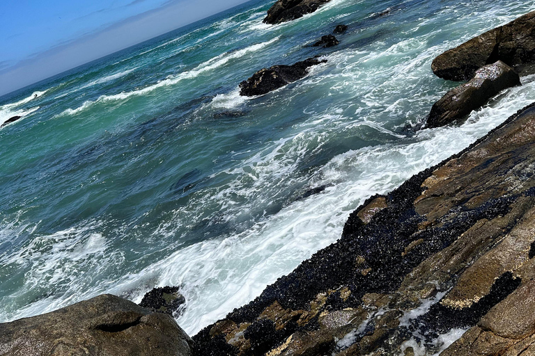 Ciudad del Cabo: Visita guiada de un día al Cabo de Buena Esperanza y los Pingüinos