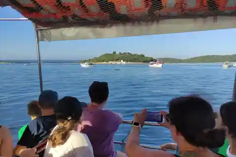 Pula : Parc national de Brijuni : visite guidée en bateau avec baignade