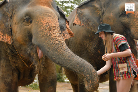 Phuket: Ethisch voederen met olifanten in Jungle Sanctuary