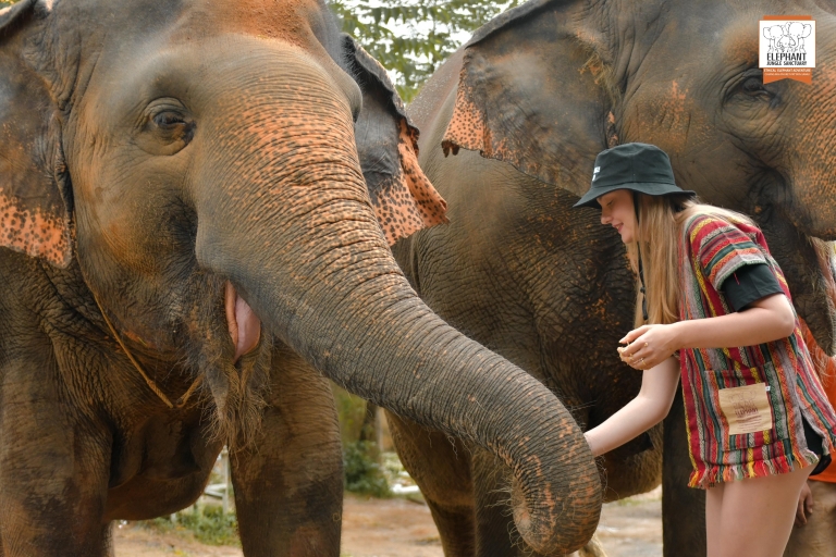 Phuket: Ethisches Fütterungserlebnis im Elefanten-Dschungel-Schutzgebiet