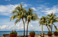 3D2N Dumaguete - Hizvo