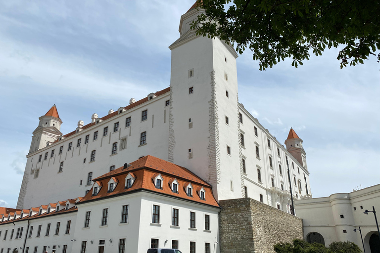 Excursion hivernale d'une journée : de Vienne à Bratislava en bus et en bateauVisite en anglais