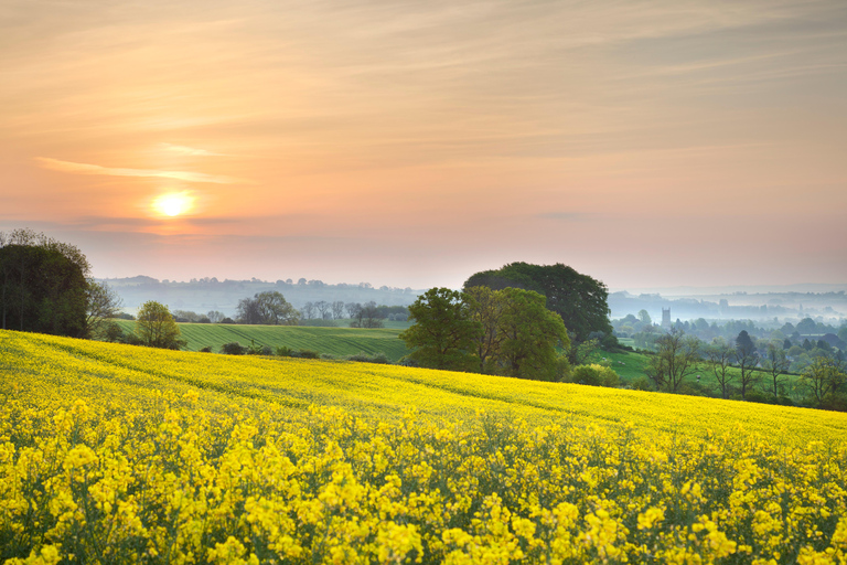 Från Bath: Cotswolds privat dagstur med upphämtning