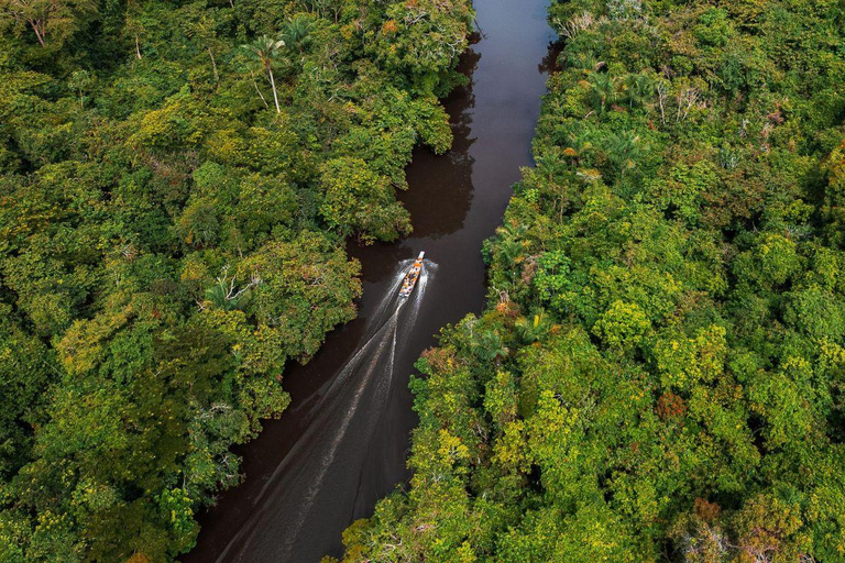 Iquitos: 5-Day Amazon Camp, Zipline & Jungle Tour