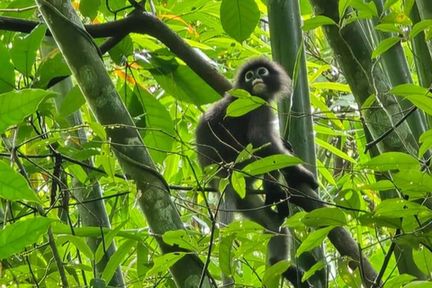 Phuket or Anywhere: Private Boat Cheow Lan Lake>Diamond Cave Option 2: From Krabi with Roundtrip Hotel Transfer