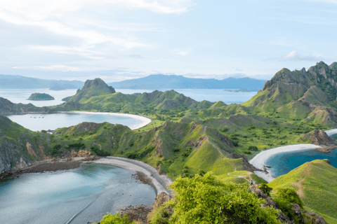 Całodniowa wycieczka na wyspę Komodo na wyspie Labuan Bajo