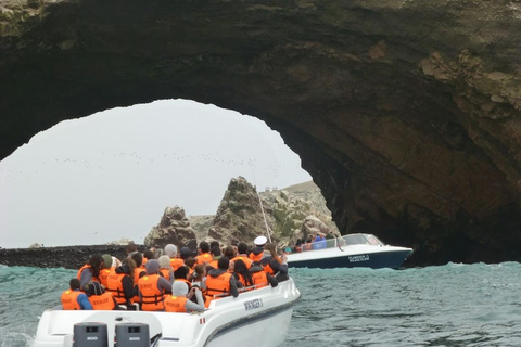 Lima: Trasferimento + Paracas + HuacachinaLima: Trasferimento + Paracas+ Huacachina