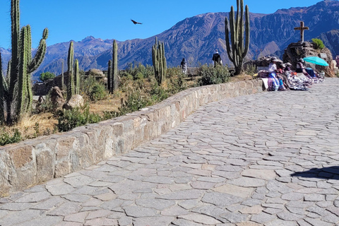 From Arequipa: Colca Canyon Day Hike