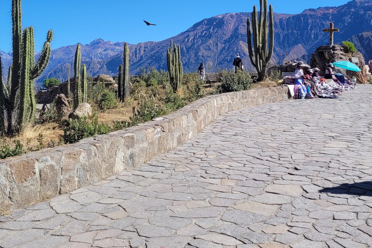 From Arequipa: Colca Canyon Day Hike