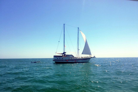 Varna: Crucero de 3 horas por el Mar Negro con almuerzo y bebidas