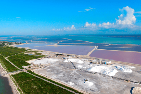Riviera Maya: Rio Lagartos & Las Coloradas Day Trip w/Lunch From Riviera: Rio Lagartos & Las Coloradas Day Trip & Lunch