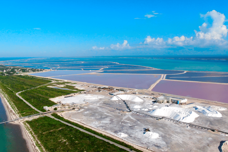 Riviera Maya: Rio Lagartos & Las Coloradas Day Trip w/Lunch From Riviera: Rio Lagartos & Las Coloradas Day Trip & Lunch