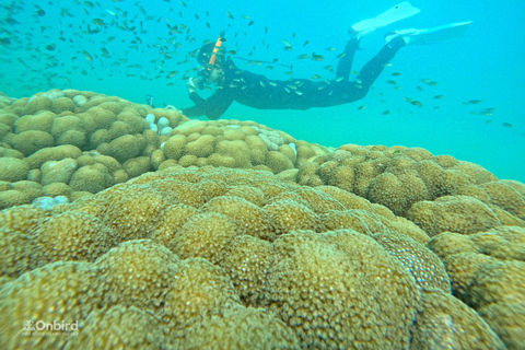 Phu Quoc: 4 Island & 2 Reefs Snorkeling Tour by Speedboat Phu Quoc: Speed Boat Tour 4 Islands - 2 Reefs Snorkeling