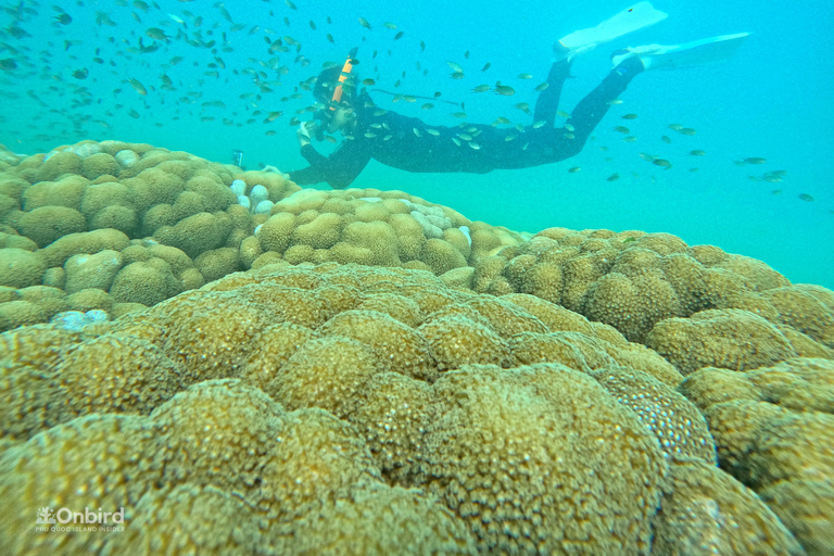 Phu Quoc: 4 Island & 2 Reefs Snorkeling Tour by Speedboat Phu Quoc: Speed Boat Tour 4 Islands - 2 Reefs Snorkeling