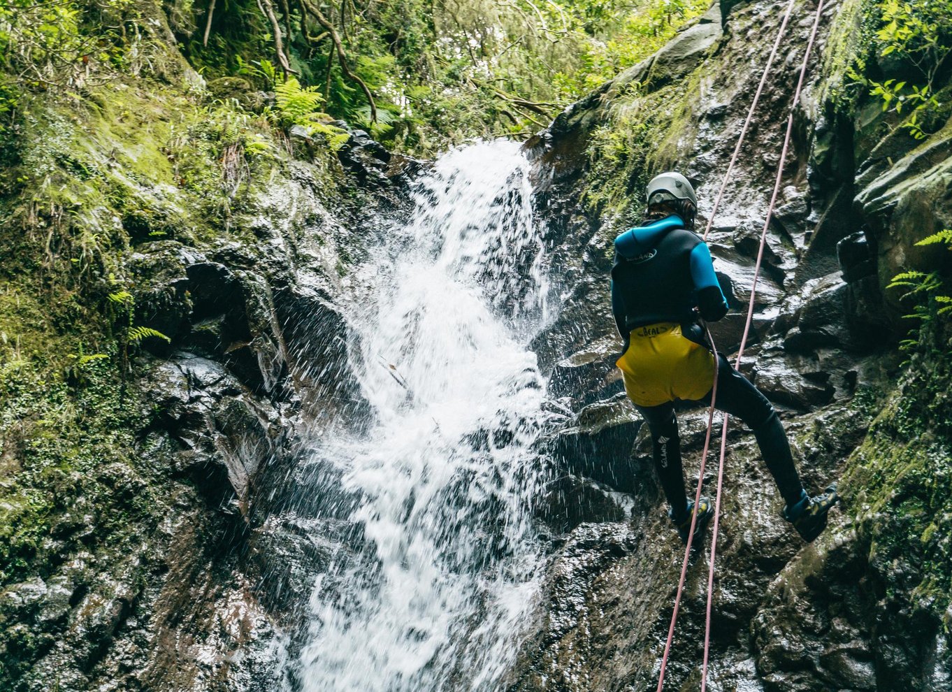 Funchal: Halvdags begyndervenlig canyoning-oplevelse