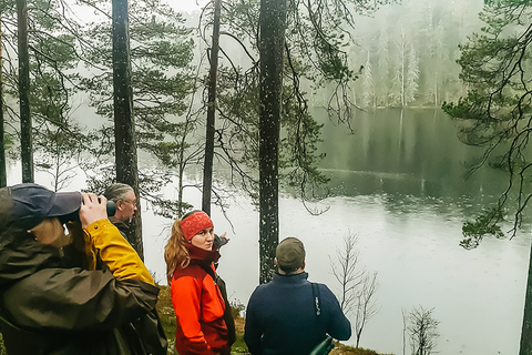 Ze Sztokholmu: Wildlife Safari z kolacją przy ognisku