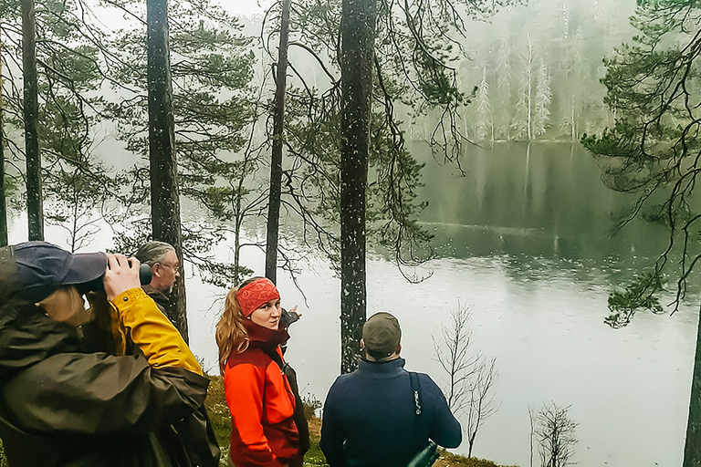 Ze Sztokholmu: Wildlife Safari z kolacją przy ognisku