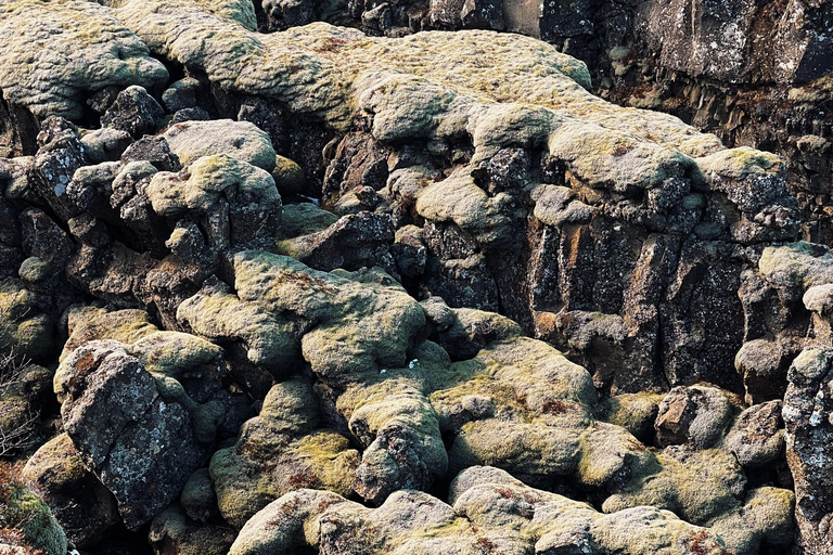 Desde Reikiavik: excursión de un día al círculo dorado y la laguna secreta