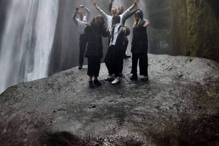 Costa Sur de Islandia: Tour privado de un día