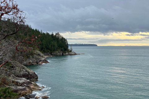 Vancouver: Lighthouse Park HikeLighthouse Park Hike