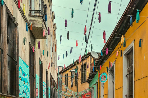 Valparaiso and Viña del Mar: Private Tour from Santiago