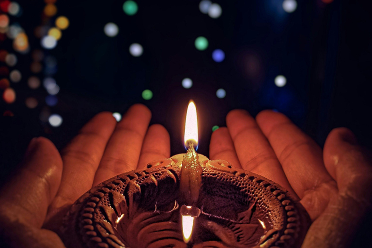 Tigers, Taj & Lights: A 3-Day Ranthambore & Agra Diwali Tour All-Inclusive tour