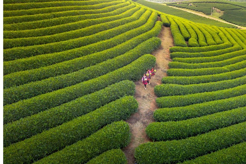 Crossing: 2-Day Moc Chau and Ta Xua Tour