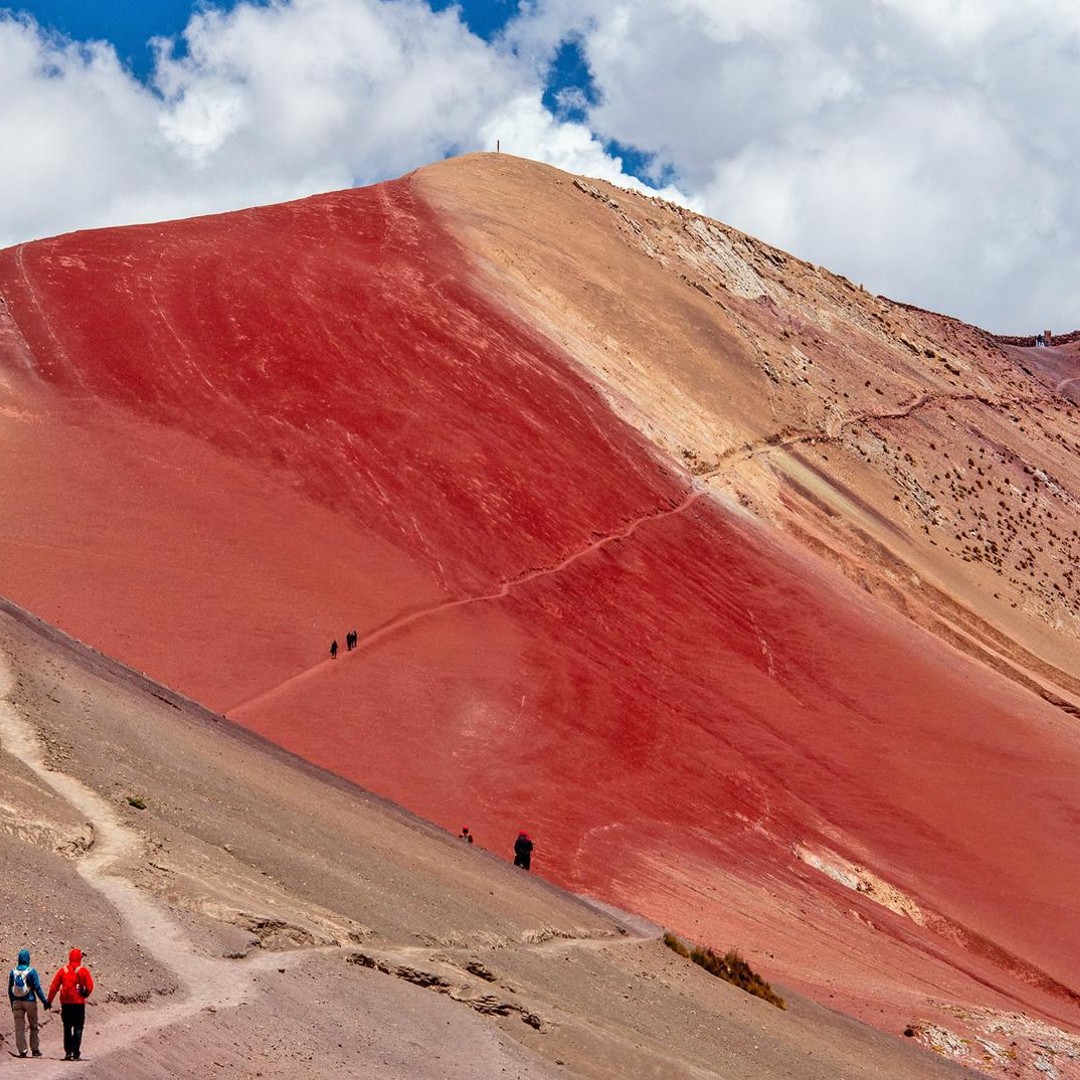 Galería de fotos para redes
