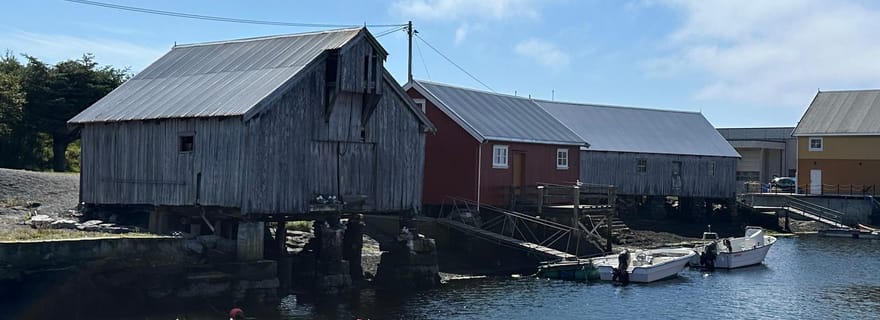 Visite privative de la route de l'Atlantique avec déjeuner