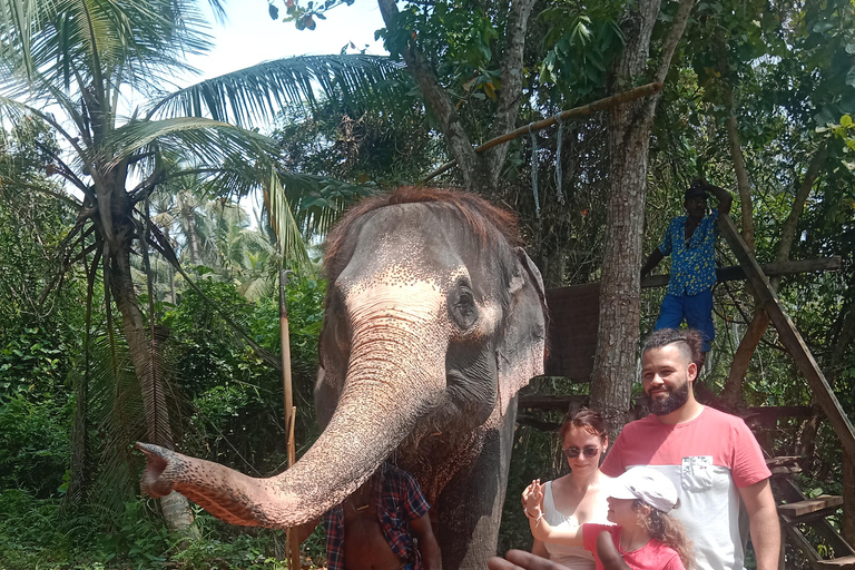 La migliore guida di viaggio dello Sri Lanka: Attrazioni principali Scoprire