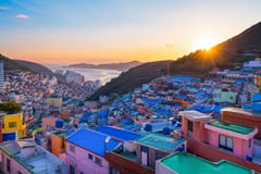 Busan: Individuelle private Tour zu Sehenswürdigkeiten und lokalen Highlights
