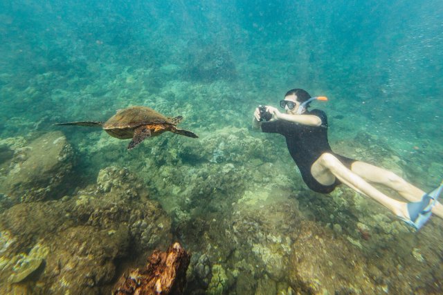 Maui Sur: Excursión de snorkel a Molokini y Turtle Town con comida