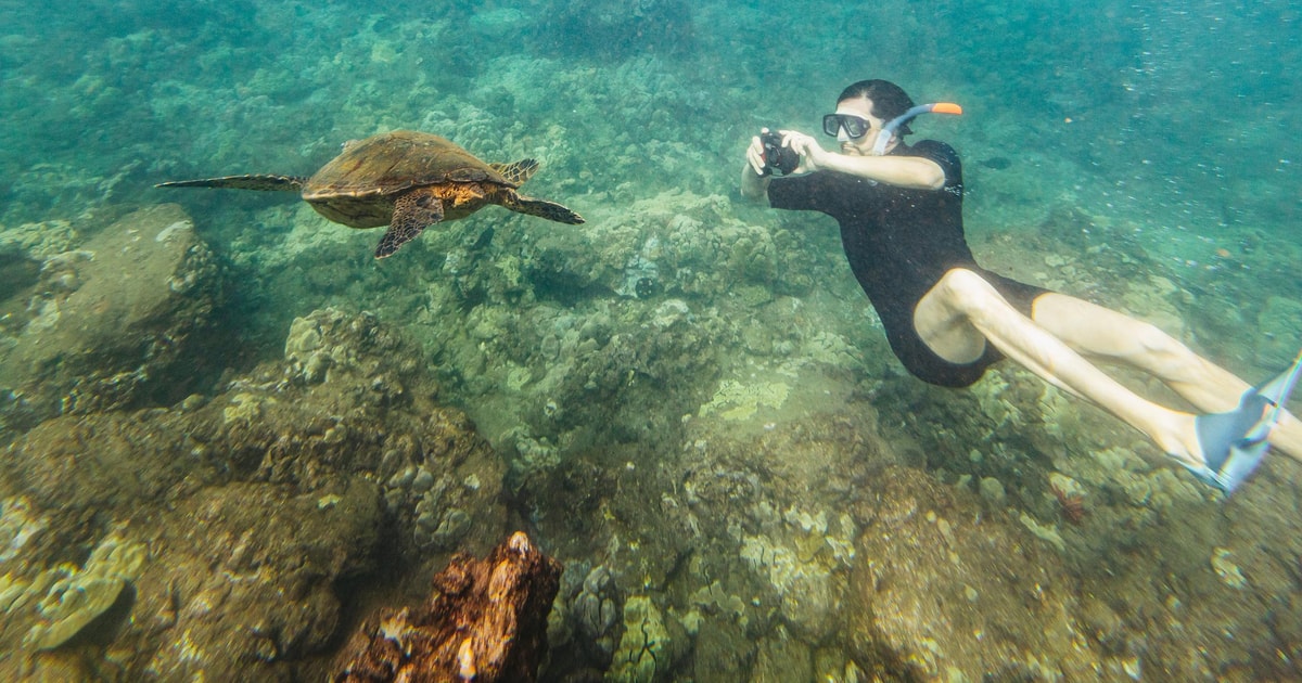 South Maui Molokini & Turtle Town Snorkeling Tour with Meal GetYourGuide
