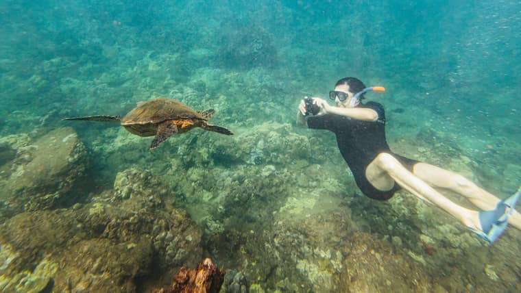 Le migliori attività a Isola Di Maui