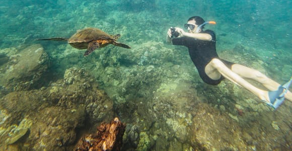 South Maui: Molokini & Turtle Town Snorkeling Tour with Meal