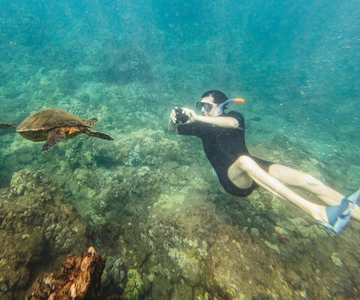 Maui Sud: Tour di snorkeling di Molokini e Turtle Town con pasto
