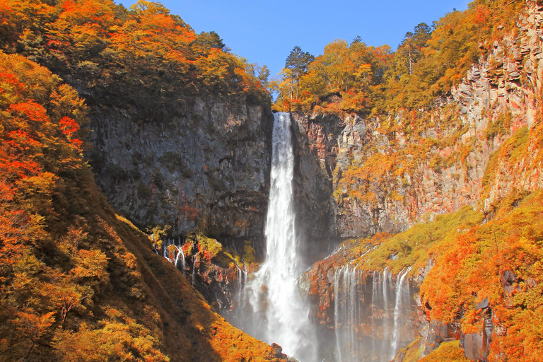 From Tokyo: Nikko Private Day Trip with Guide and Pickup