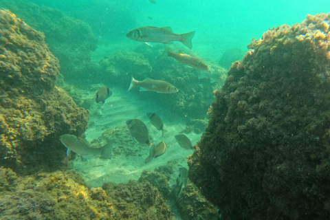 Salou: Paseo Privado en Barco Zodiac por las Calas de Salou