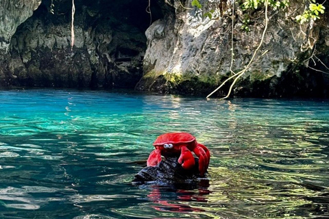 Zanzibar: Halvdagsutflykt till Maalum-grottanPrivat tur från Paje, Kizimkazi, Michanvi, Jambiani