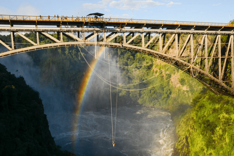 Victoria Falls: Helicopter Gorge Flight & Wildlife Tour