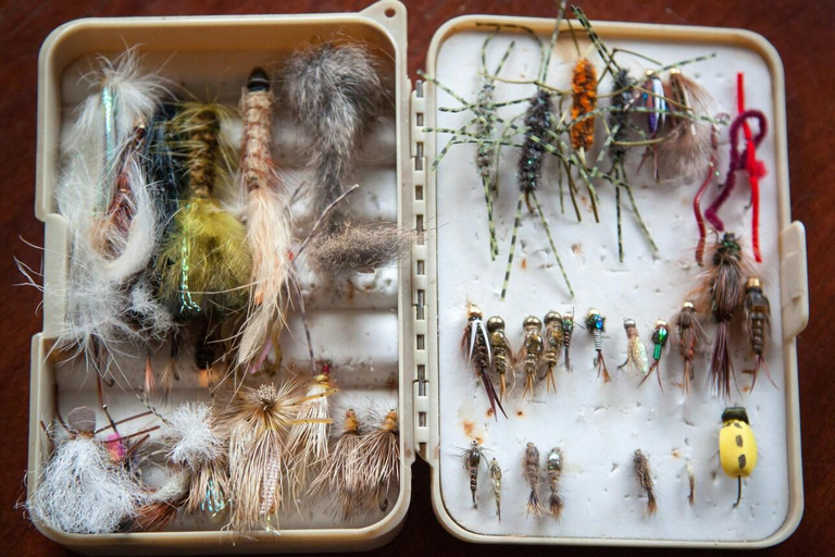 Yeda: Excursión de pesca deportivaJeddah: Viaje de pesca deportiva