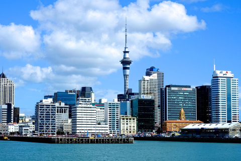 Auckland: Tour de la ciudad con cata de vinos y playa de arena negra