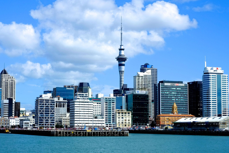 Auckland: City tour com prova de vinhos e praia de areia preta