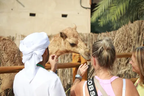 Dubai: Wandeltour door de oude stad met rit op een Abra