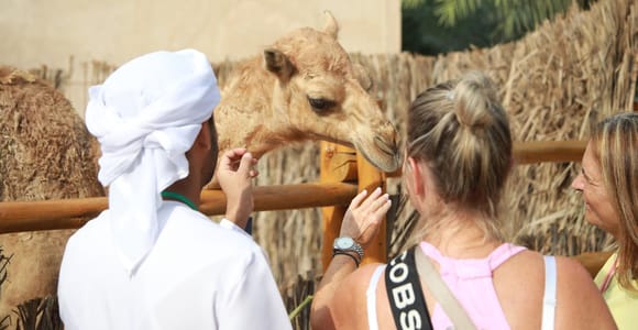 Dubai: Old City Walking Tour with Abra Ride