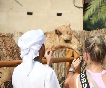 Dubai: Old City Walking Tour with Abra Ride