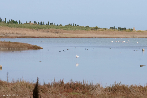 Catania: Vendicari, Marzamemi and Noto Day Trip